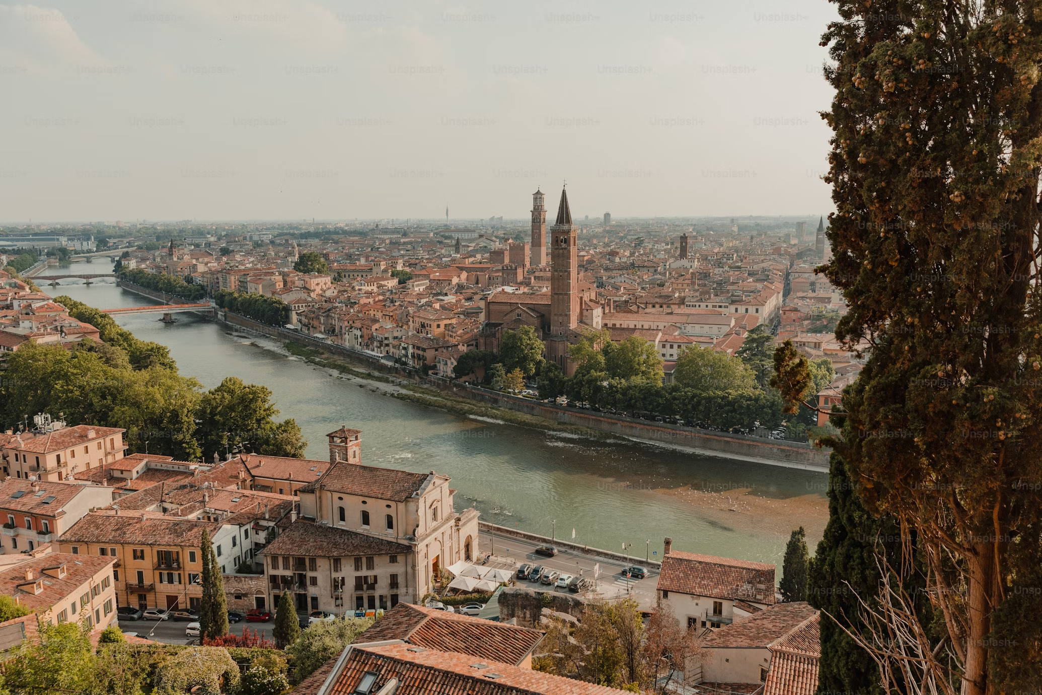 lucca-hero-img