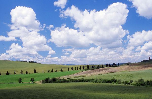 villa val d'orcia img