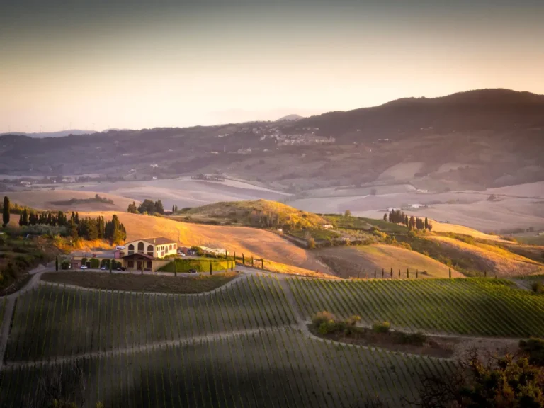journey - Brunello Wine Tour in Val d&rsquo;Orcia, Tuscany - Private Tour img
