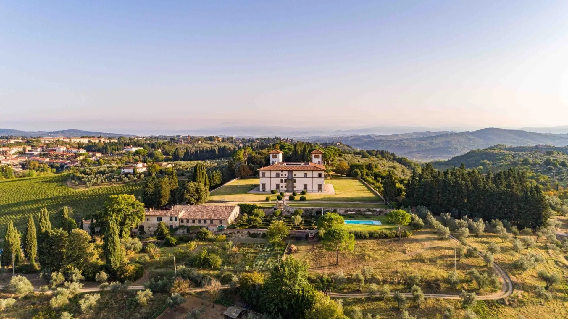 experience - adopt an olive tree img