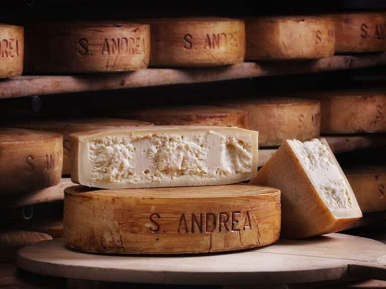 experience - cheese making class img
