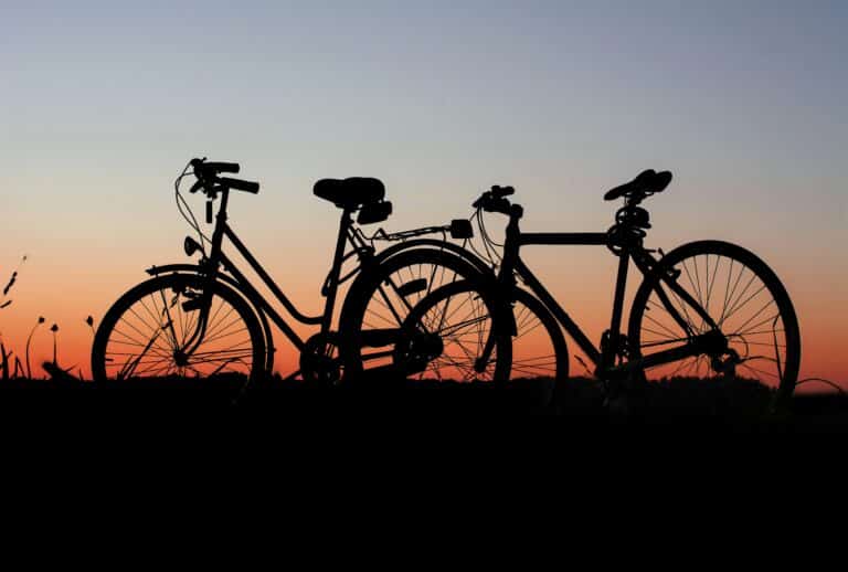 journey - bike tour half day img