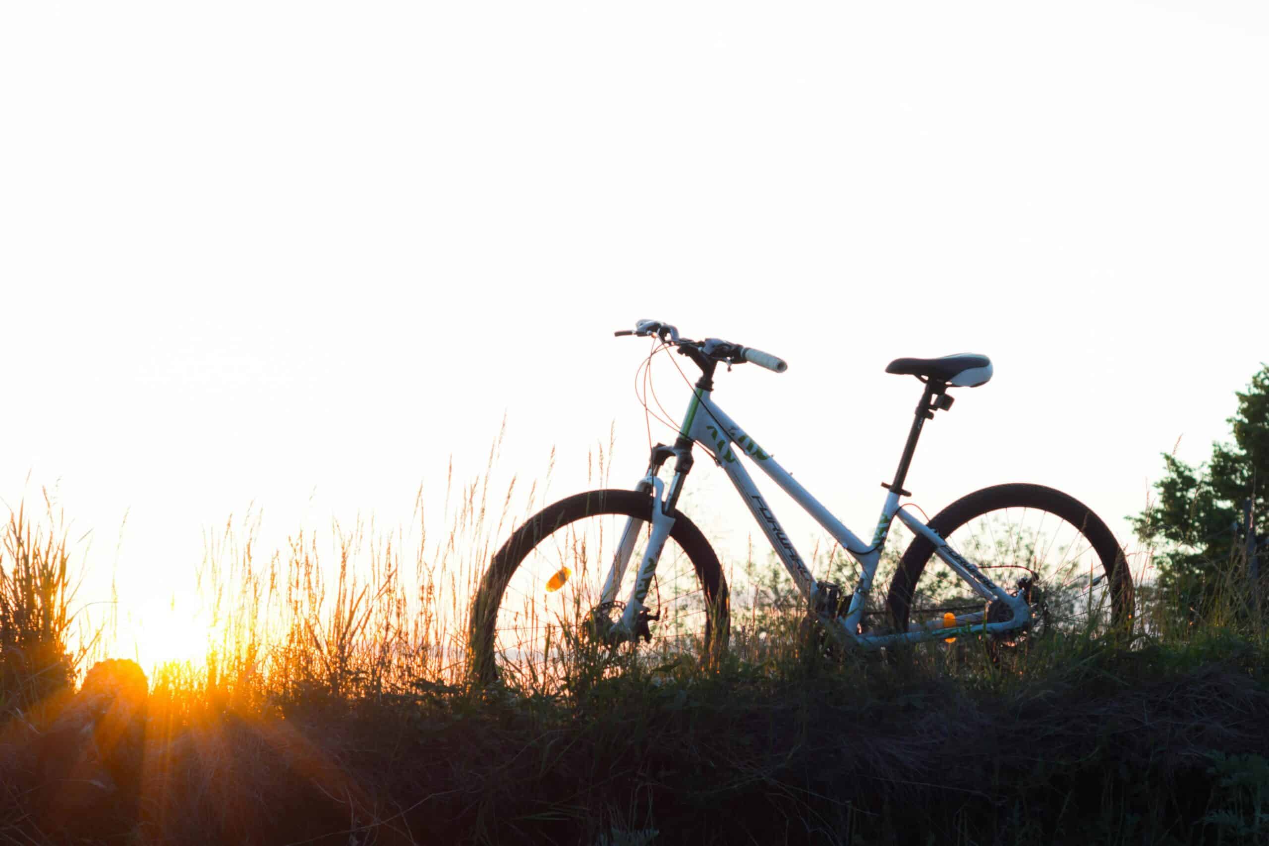 journey - semi priv bike tour half-day img