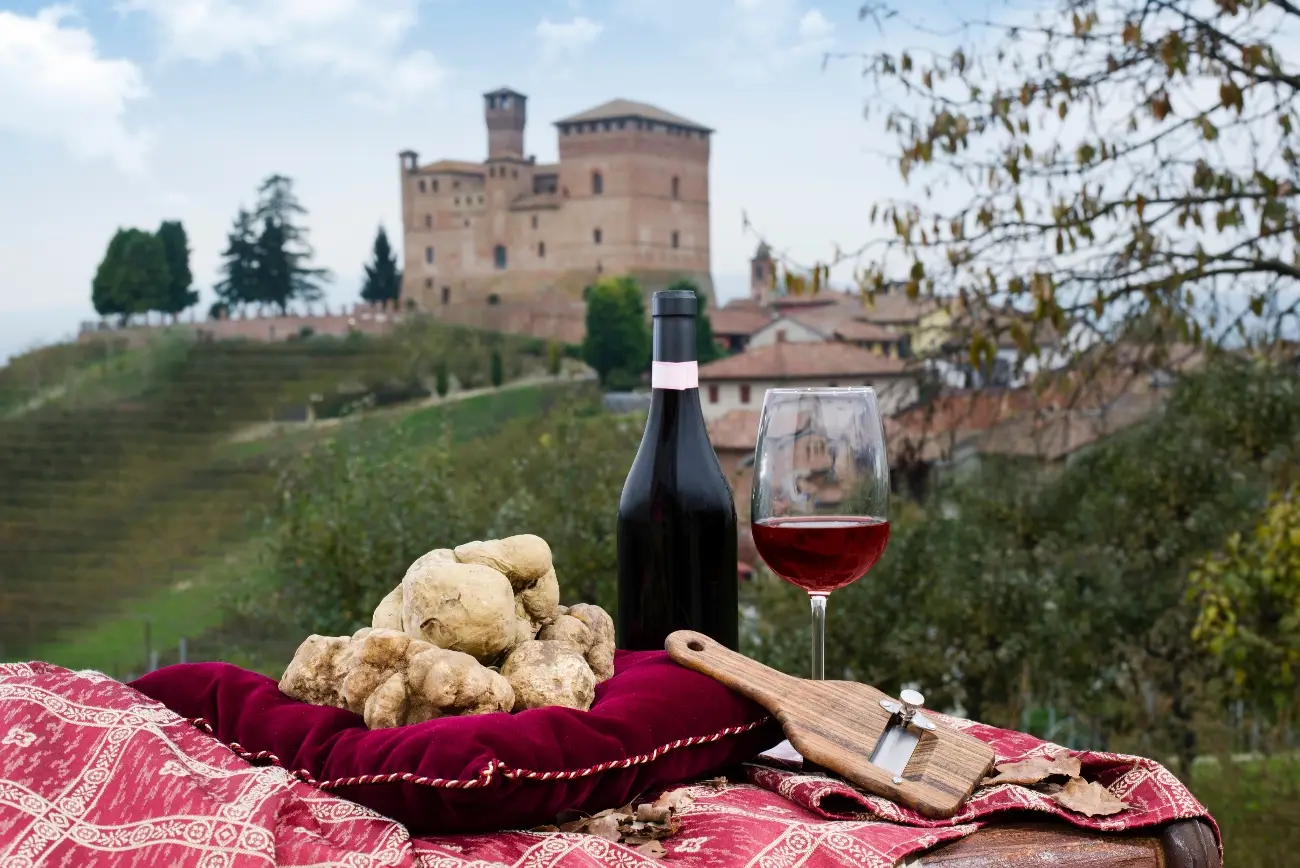 experience - white truffle hunting alba img