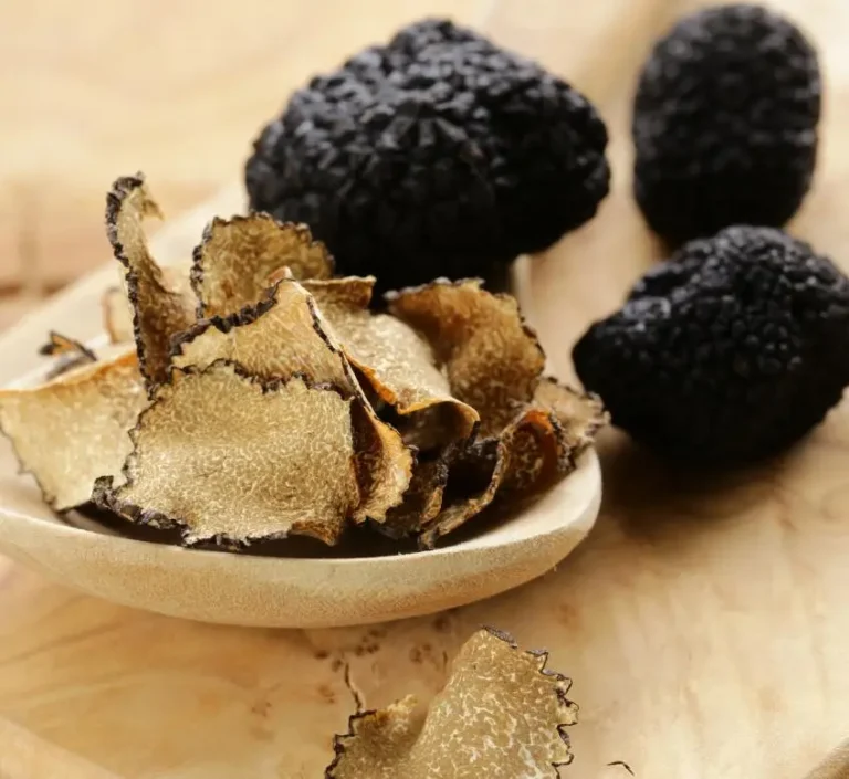experience - truffle hunting Tuscany img