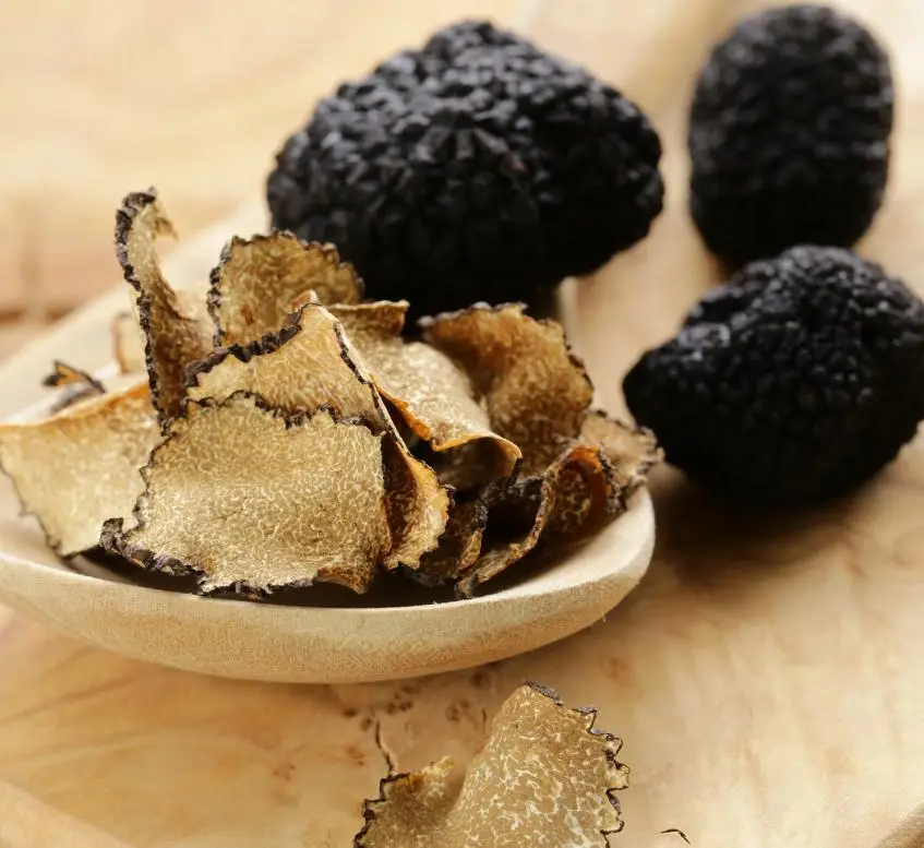 experience - truffle hunting Tuscany img