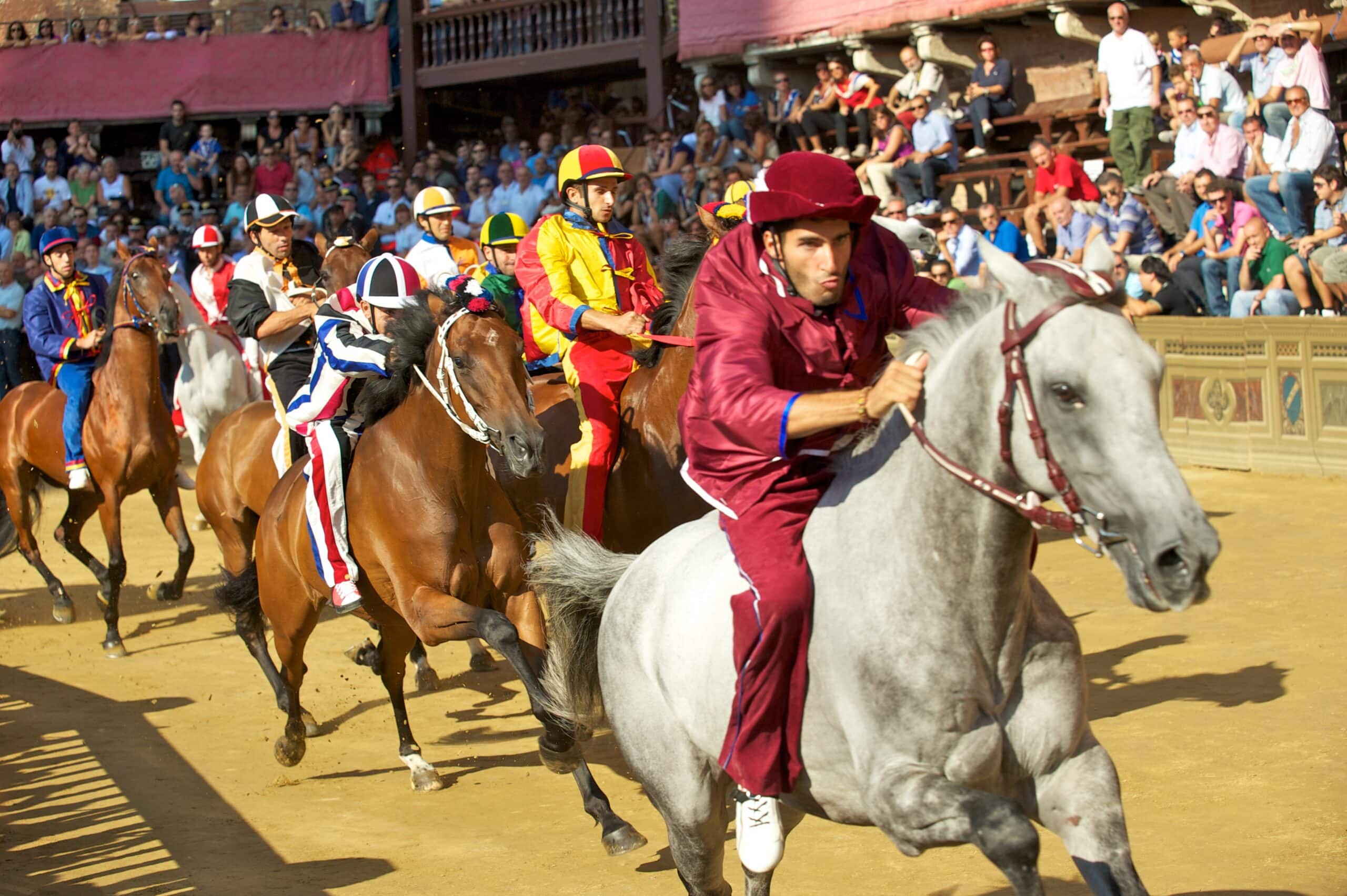 palio siena viewing