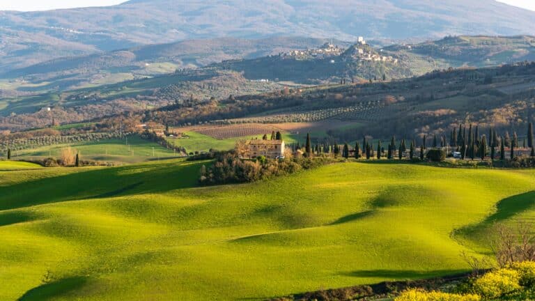 Gourmet Safari in Tuscany - Val D'Orcia Region - Private Experience img