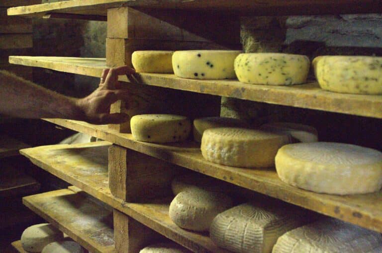 journey - Gourmet Transfer: Rome - Florence or Florence to Rome - Artisanal Cheese Maker & Winery visits img
