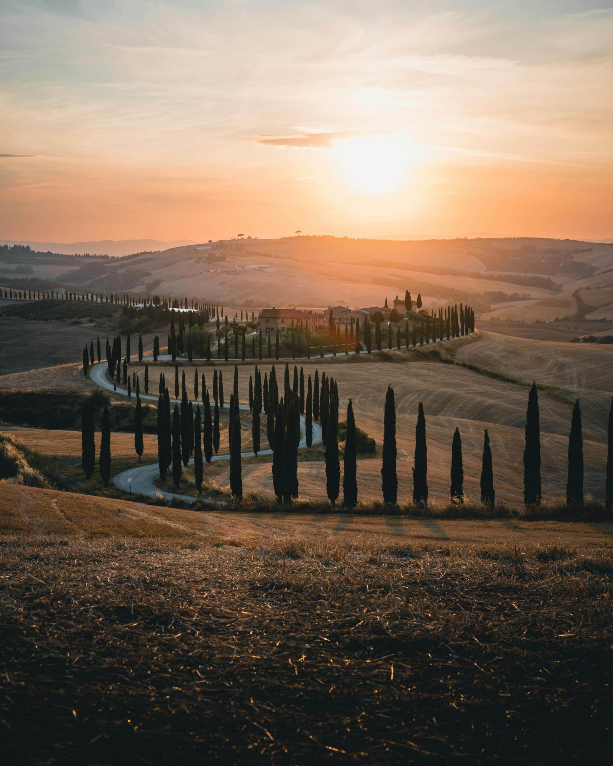 experience - Gourmet Safari in Tuscany - Chianti Region img