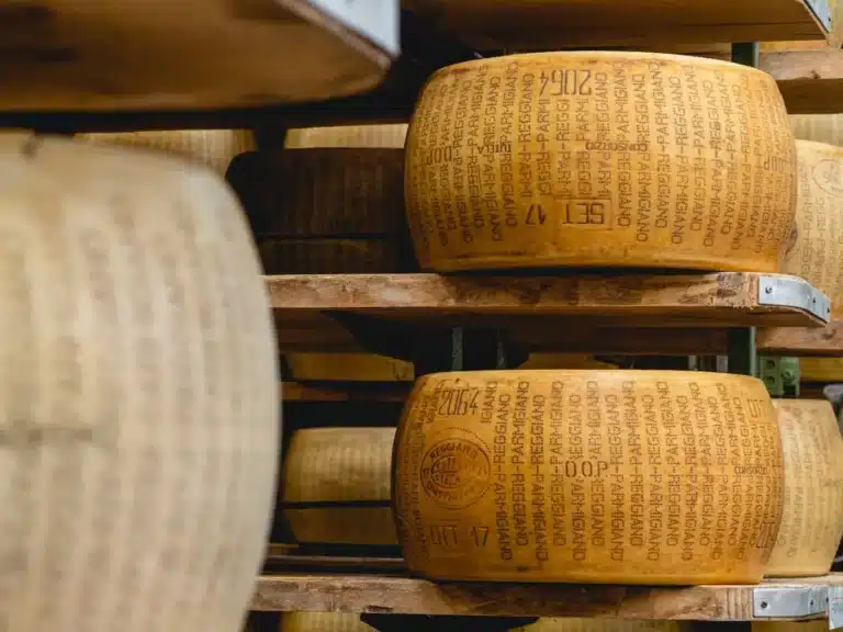 Gourmet safari Italy