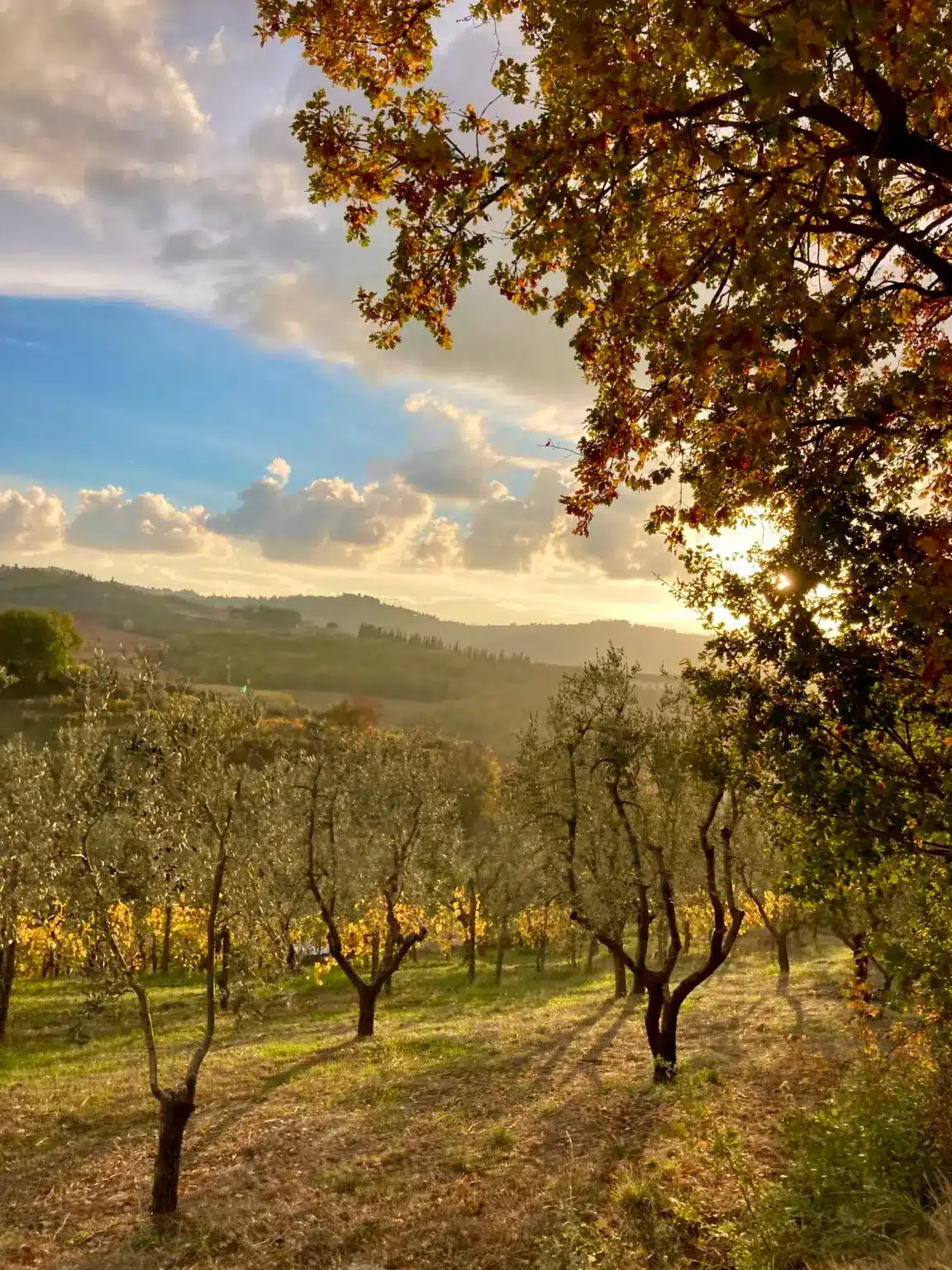 Thanksgiving in Italy
