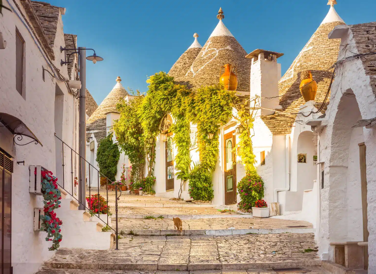 Luxury Villas, Tours and Experiences in Puglia