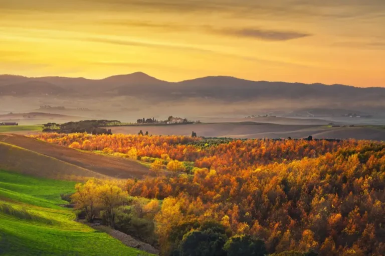 Discover Artviva’s fully licensed tours