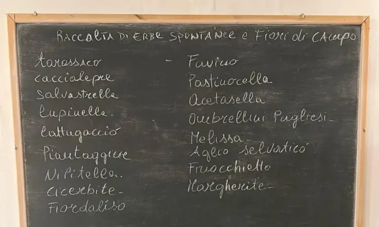 Where to eat in Florence