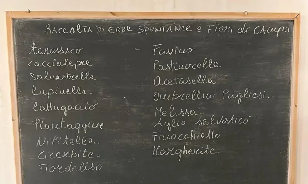 Where to eat in Florence