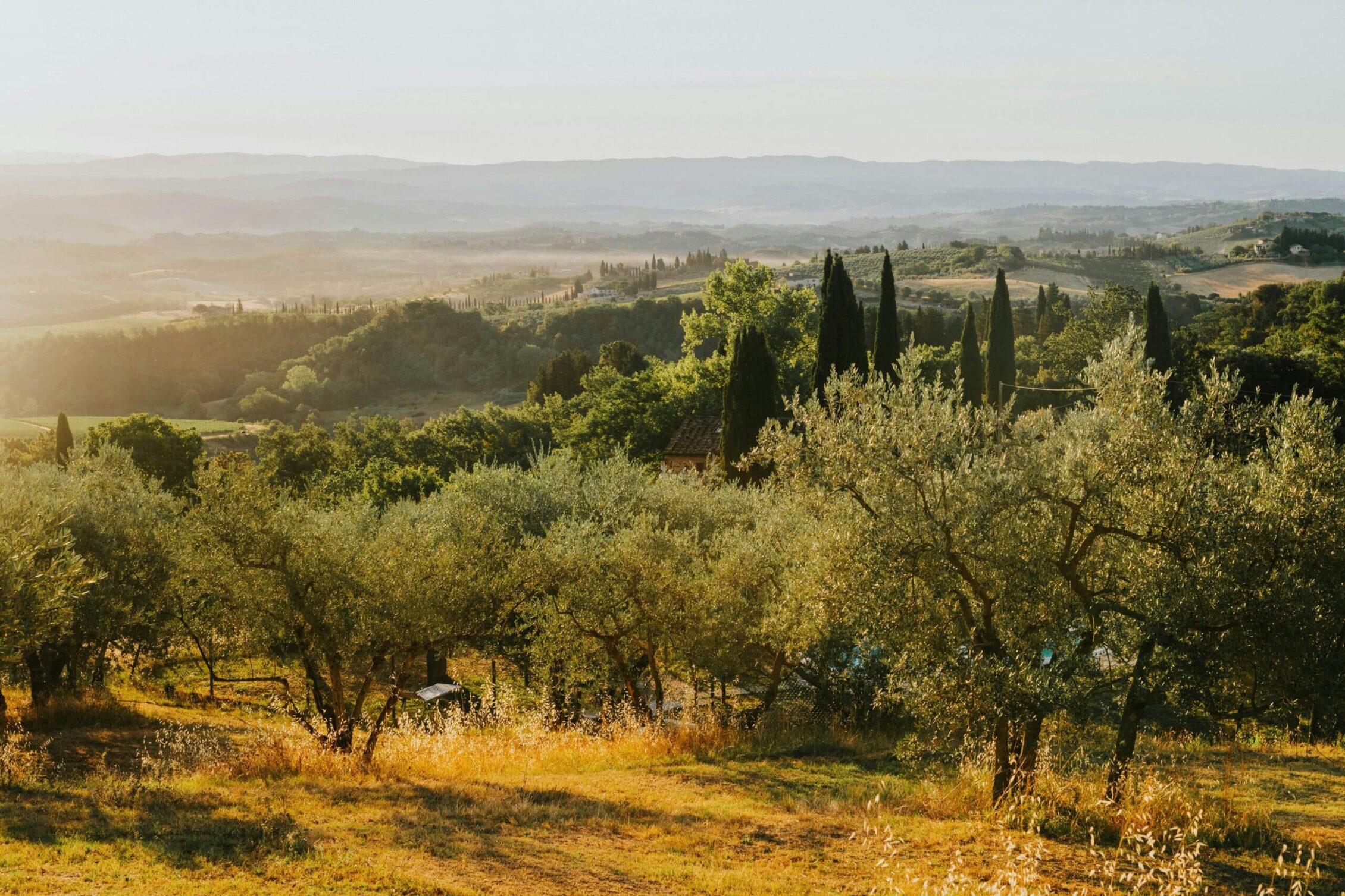 Inspiration - Visiting Northern Tuscany img