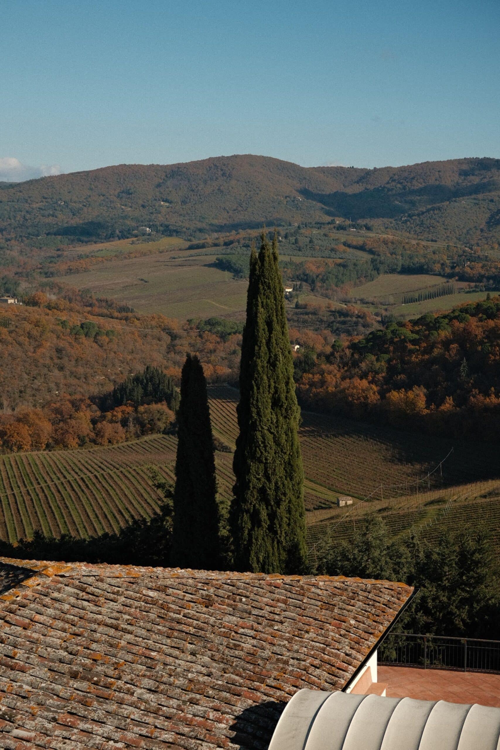 Villa Giglio - img 4